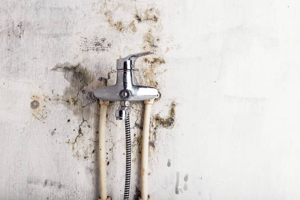 Best Mold Remediation Experts  in Moreno Valley, CA