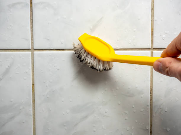 Best Professional Mold Removal  in Moreno Valley, CA