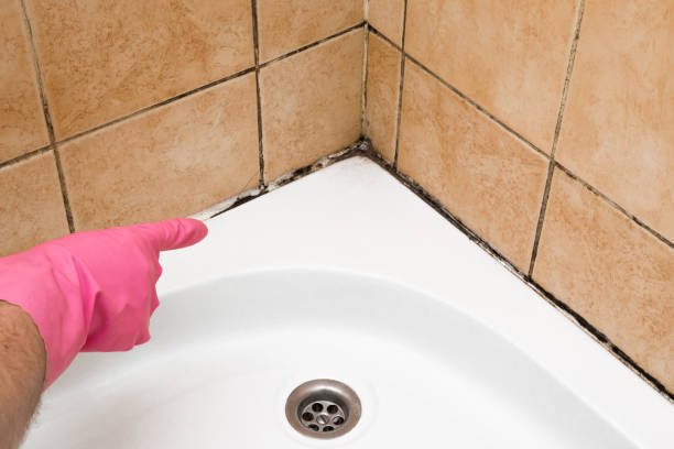 Best Home Mold Removal  in Moreno Valley, CA